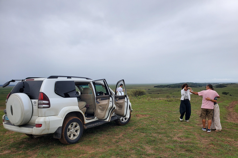 From Maputo: Maputo National Park Guided 4x4 Safari