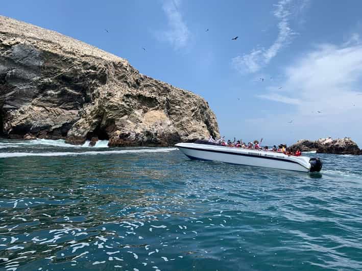 Galería de fotos para redes