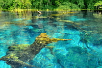 Saranda, Butrint, Blue Eye, Ksamil and Lekuresi Castle Tour - Housity