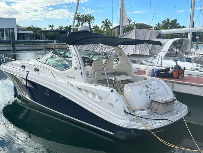 YACHT EXCURSION IN PUNTA CANA-- CUSTOM PRIVATE CHARTER | GetYourGuide