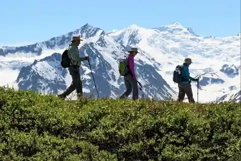 Seward: Helicopter and Hiking Tour