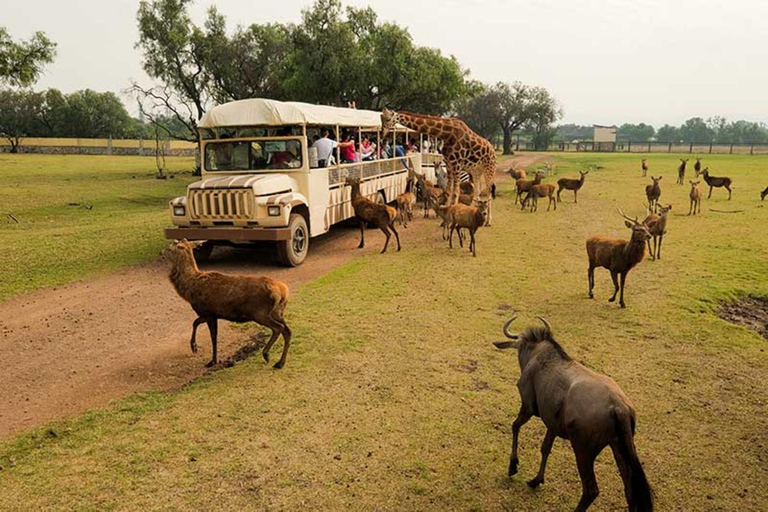 Teotihuacan: Ingång till Animal Kingdom Park; Äventyr &amp; Natur