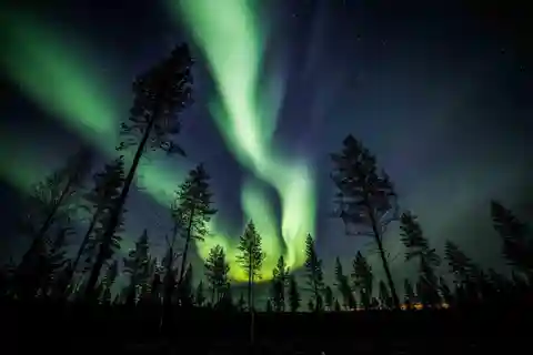 Rovaniemi: Arctic TreeHouse upplever renutflykt i norrskenet