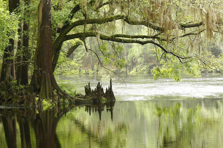 Miami: Everglades Airboat, Photo & Gator Experience From Miami: Everglades Airboat Tour with a Guide