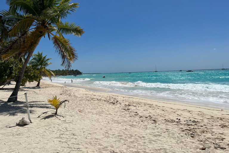 Excursão à Ilha Saona e ao Rio Chavon com almoço e bebidasOpção de excursão regular em grupo compartilhado