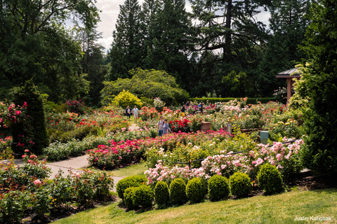 بورتلاند، أوريغون: جولة لأبرز معالم المدينة مع رحلة بالترام الجوي