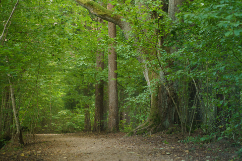 Sigulda: Walk in Gauja National Park with Photoghrapher 1-3 person private tour