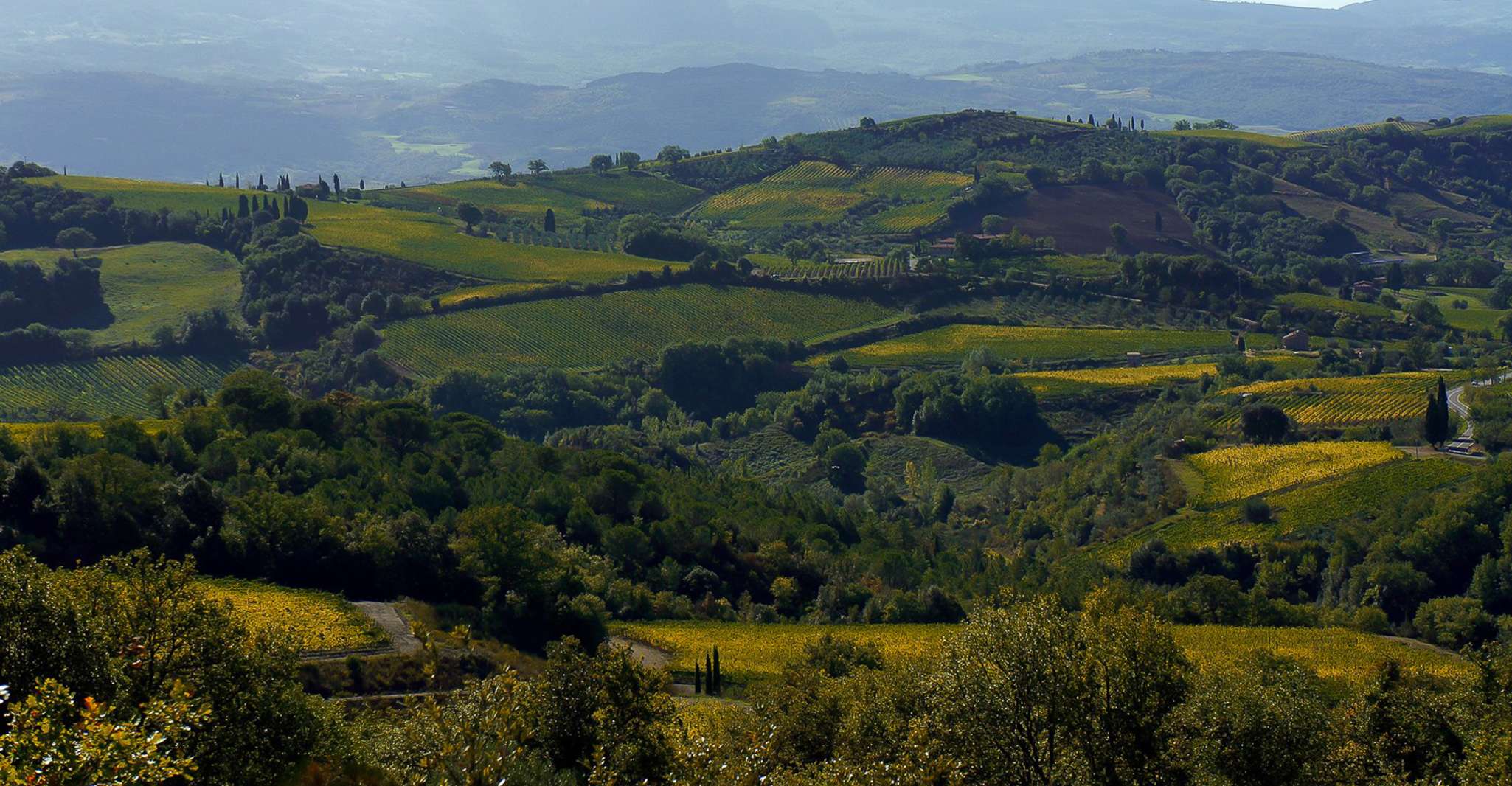 From Siena, Brunello di Montalcino Guided Wine Tour W/ Lunch - Housity