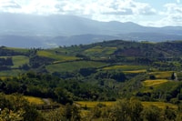 De Siena, Brunello di Montalcino guidé de vin guidé avec le déjeuner - Housity