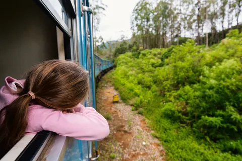Sri Lanka Private 3-nights Tour Transport, Guide, Hotels
