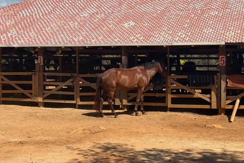 牙买加：骑马探秘与日落双体船巡游牙买加：骑马体验与日落双体船巡游