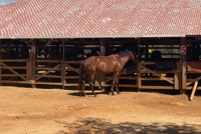 牙买加：骑马探秘与日落双体船巡游牙买加：骑马体验与日落双体船巡游