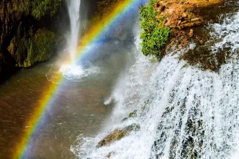 Da Marrakech: Escursione di un'intera giornata alle cascate di Ouzoud