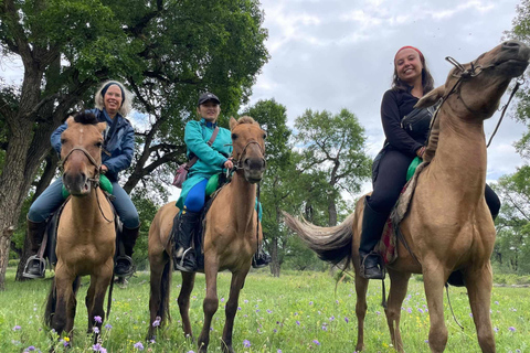 Terelj en wereldenergiecentrum Gobi nachttrein tour