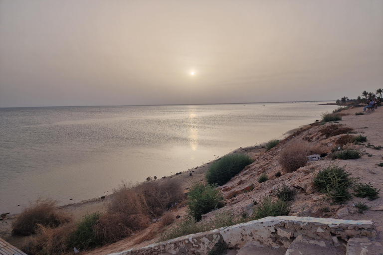 Explore Djerba Differently: Cultural and Berber Tour – Private Excursion