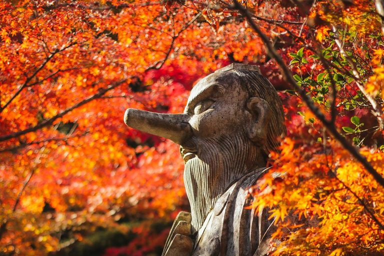 Hiroshima & Miyajima Full day Tour with Pro Photographer