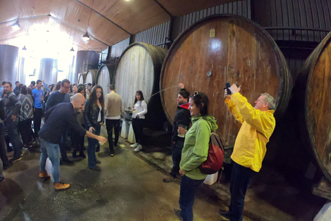 San Sebastián: Unik och rolig rundtur i baskisk ciderkultur