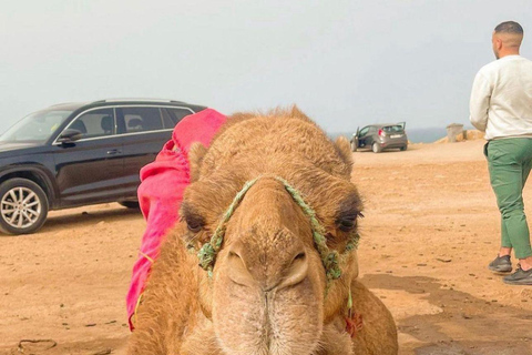 Sunset with Camel ride in Tangier ends with walking tour