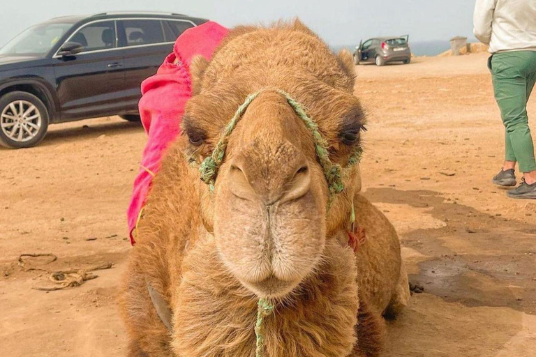 Sunset with Camel ride in Tangier ends with walking tour