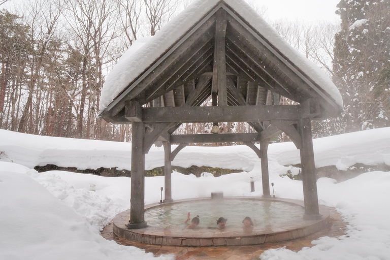 Nagoya: Gujo Hachiman, Snow Park, & Onsen Day Trip