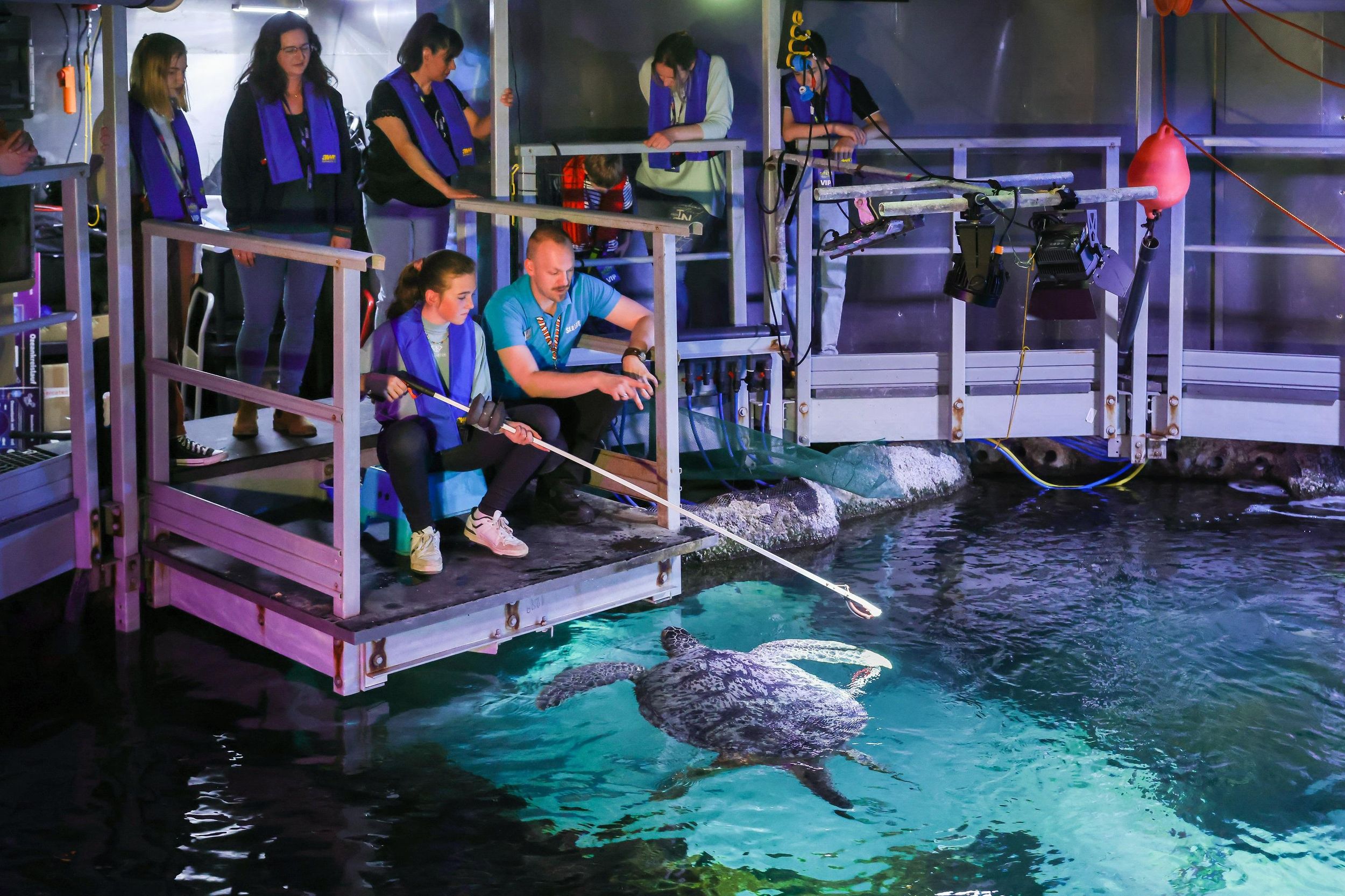 Timmendorfer Strand: SEA LIFE Hinter den Kulissen Tour