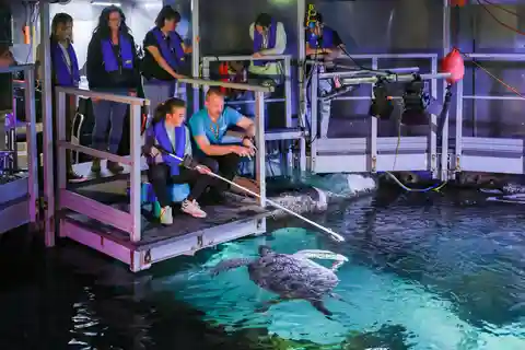 SEA LIFE Hinter den Kulissen Tour
