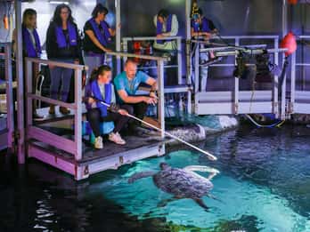 Timmendorfer Strand: SEA LIFE Behind the Scenes Tour