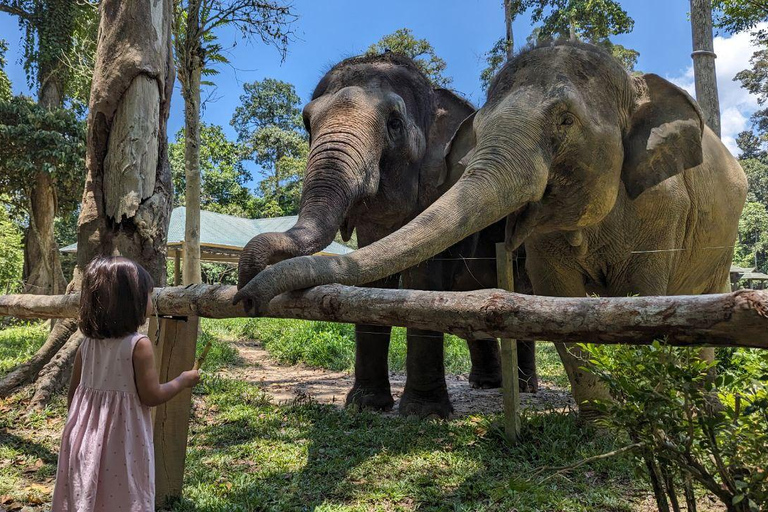 Kuala Lumpur: Batu Caves & Kuala Gandah Elephant Sanctuary