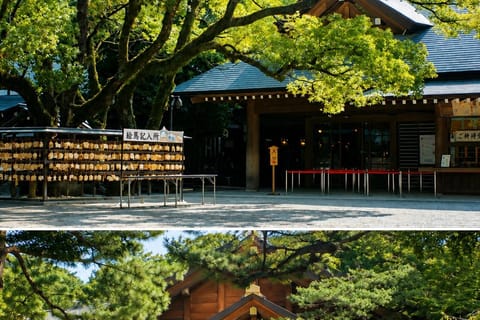 Chubu Airport: Private Nagoya Arrival Sightseeing Tour - Image 2