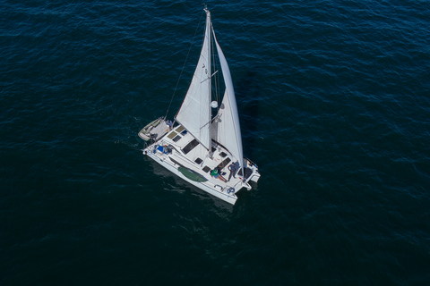 Marina Del Rey: 2 uur privé catamarantour door de jachthaven