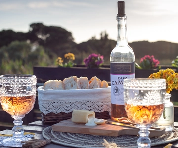 From Lisbon: Private Wine Tour with Wine & Cheese Tasting
