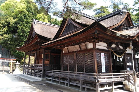 Kyoto Shiga Highlights Day Tour Miho Museum&Shirahige Shrine **Departure from Osaka**