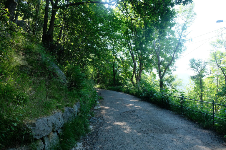 Bergen: Urban Mountain Hiking and History Tour