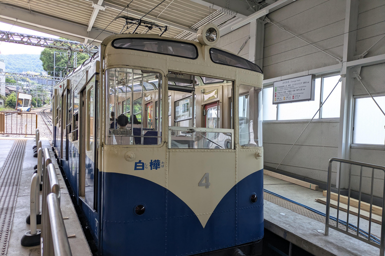 From Osaka: Horyuji Temple and Mount Ikoma Day Tour