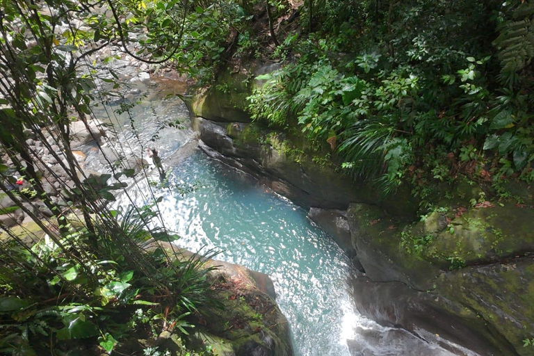 4x4 Land Rover day trip with Fanm Sosyal Kréyol in Guadeloupe Half-Day