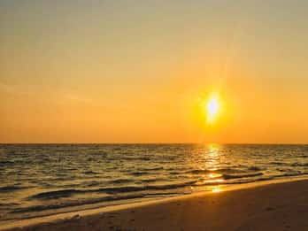 Krabi: Phi Phi Early Bird i 4 wyspy łodzią motorową z lunchem