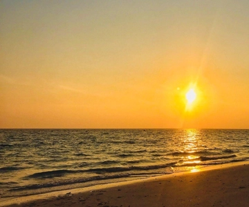 Krabi: Phi Phi Early Bird & 4 Island by Speedboat with Lunch