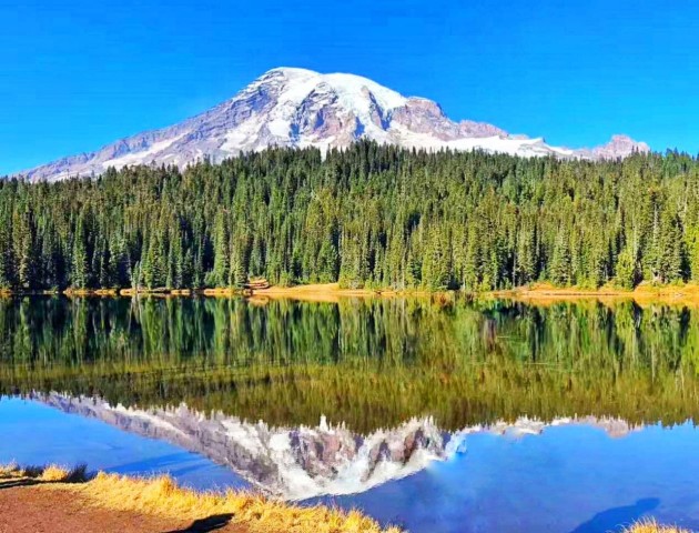 Visit Small Group Mount Rainier National Park 1-Day Tour in Seattle