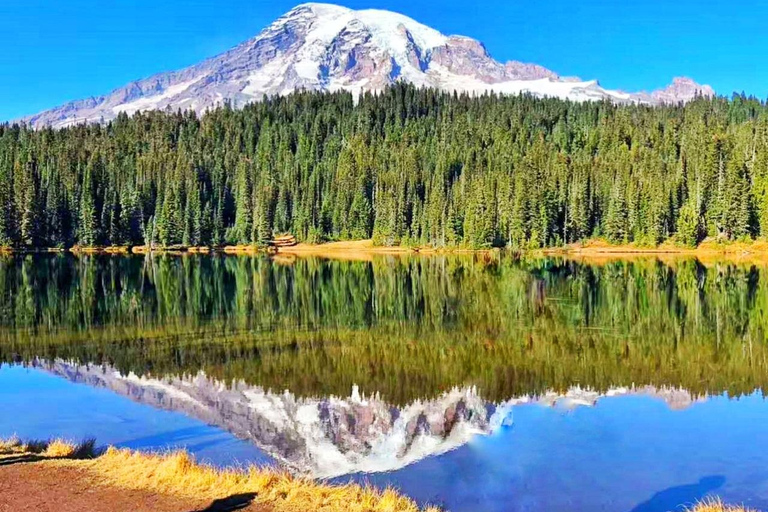 From Seattle: Mount Rainier Guided Day Tour