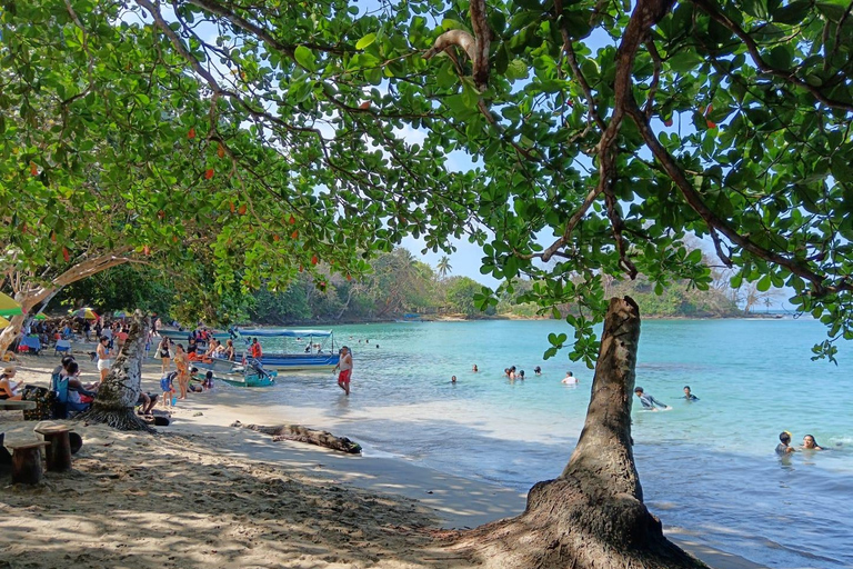 Paseo en 4 Islas paradisíacas de Portobelo conguía,salvavida