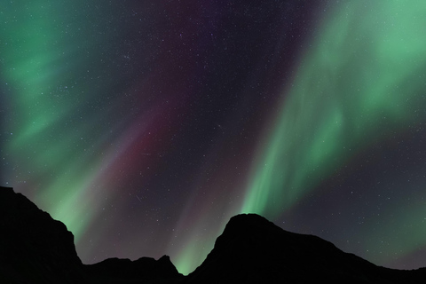 From Tromsø: Chinese Speaking Northern Light Chase