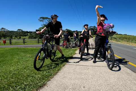 Sunshine Coast: Tour guiado de e-Bike em Maleny MagicPasseio de bicicleta elétrica Maleny Magic