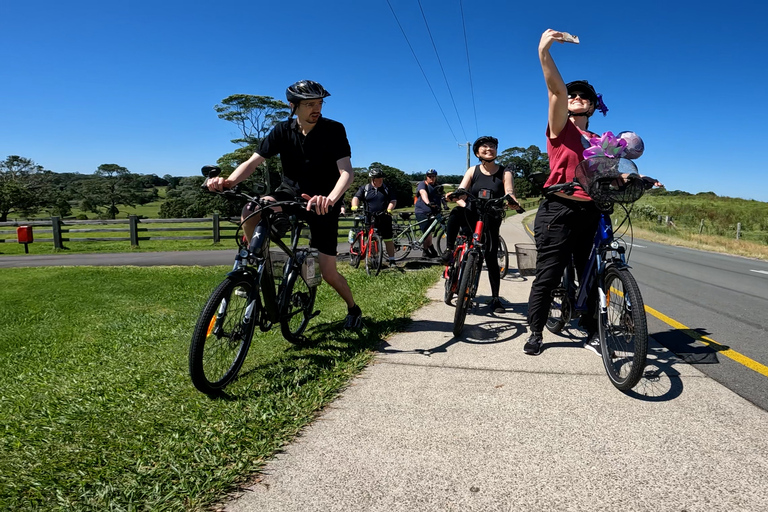 Sunshine Coast: Maleny Magic Geführte e-Bike TourMaleny Magic e-Bike Tour