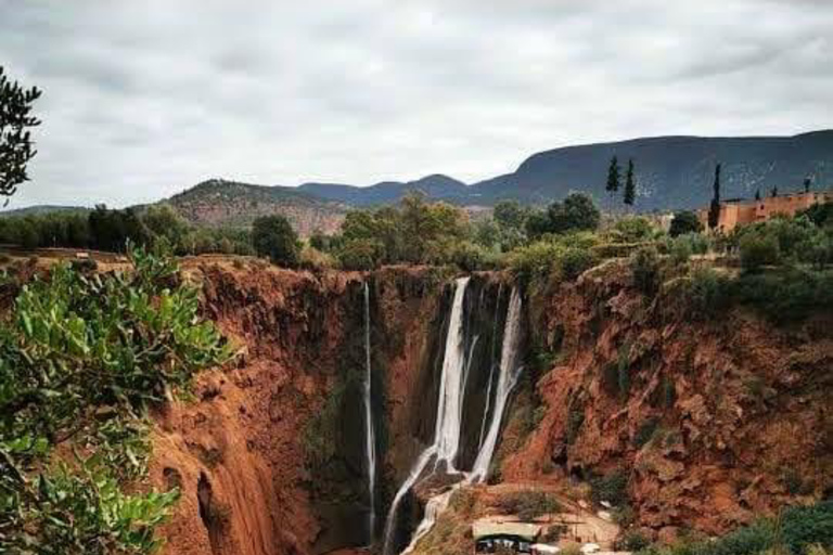 De Marrakech: Excursão de um dia às cachoeiras de Ouzoud