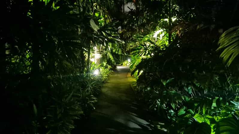 Glow with the Flow: Singapore's Illuminated River Experience