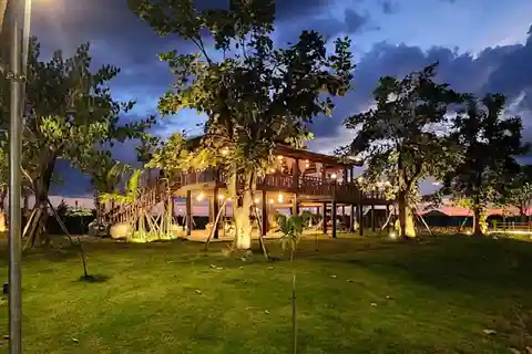 SiemReap Jantar ao pôr do sol em um carro de boi no campo de arroz