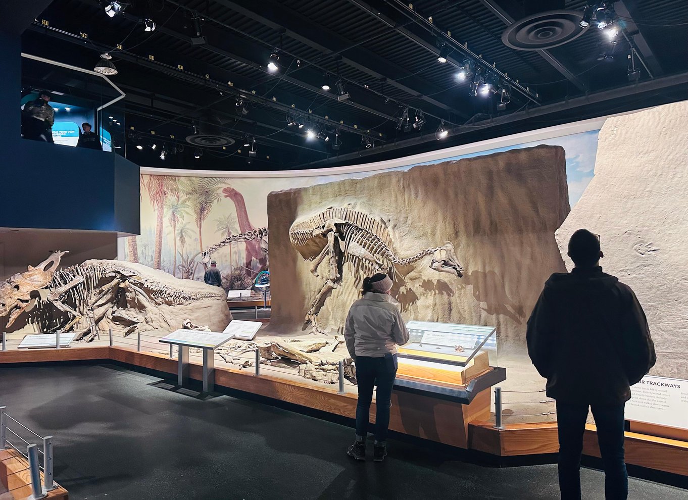 Badlands-tur: Drumheller med museum, hoodoos og dinosaurer