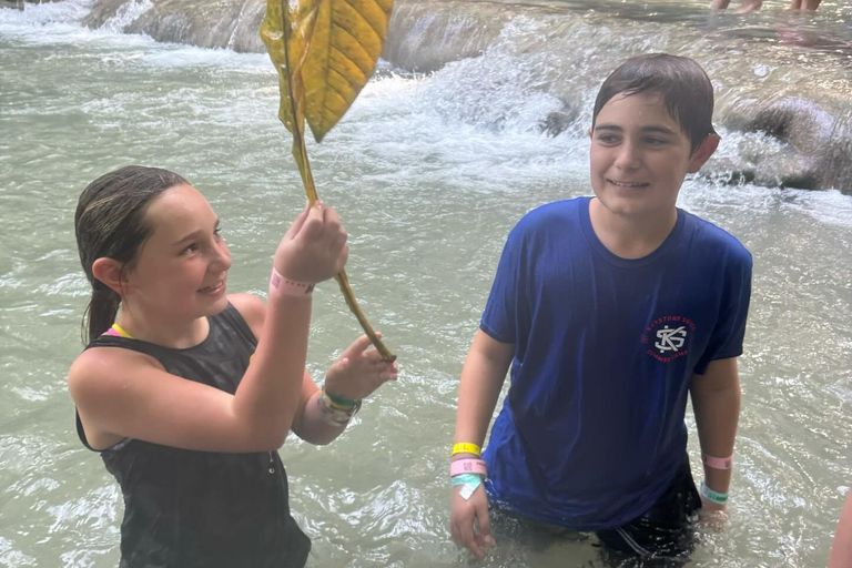 Bob Marley, Dunn’s River Falls and Luminous Lagoon Tour From Grand Palladium/ Lady Hamilton