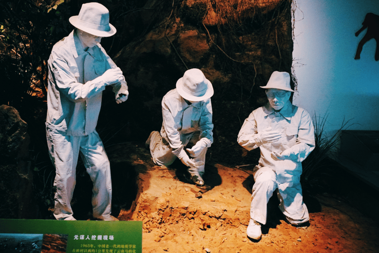 Kunming: Yunnan Provincial Museum Entry Reservation