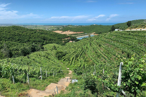 Tour di degustazione del vino, tour facoltativo della cantina e gite in kayak